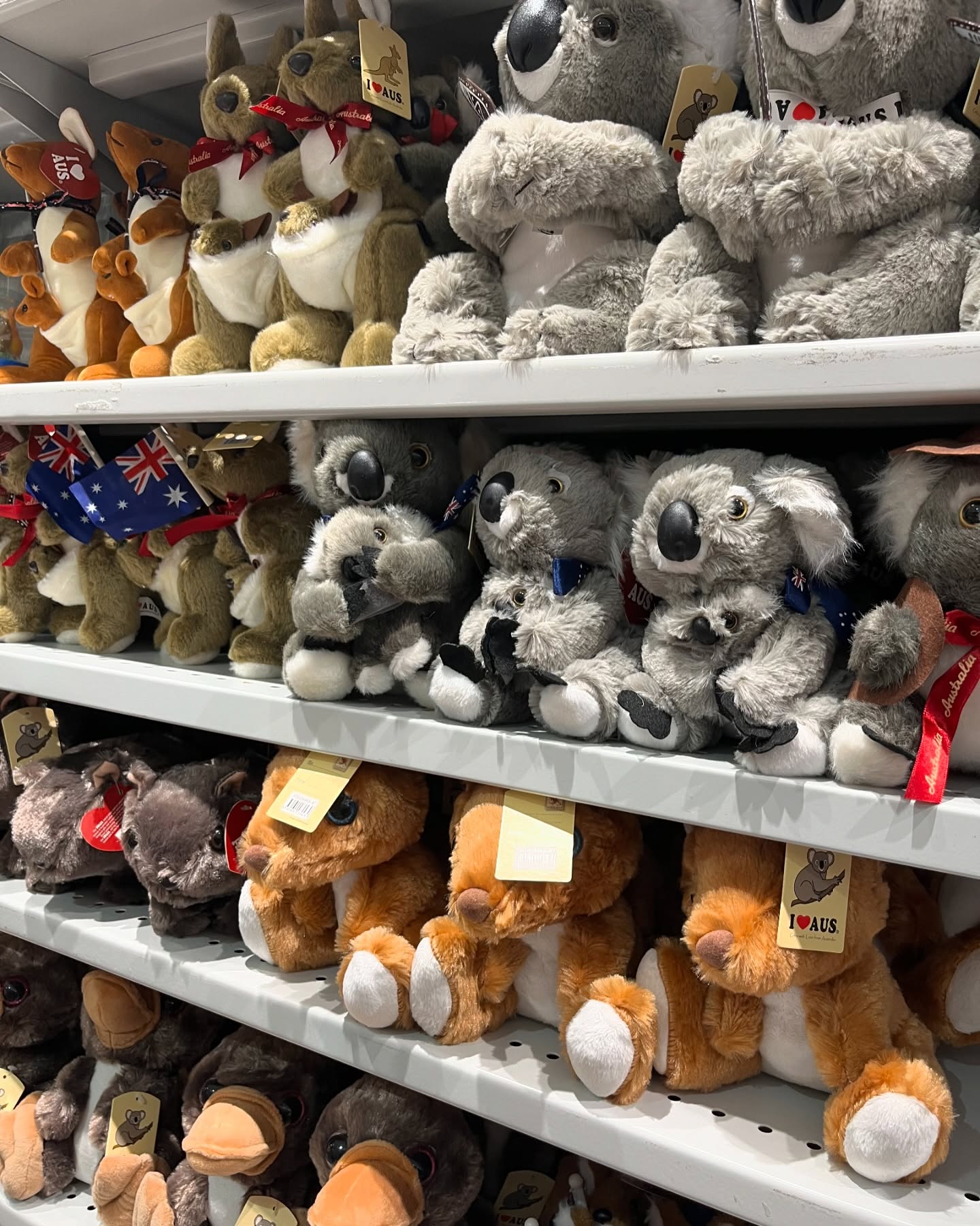 edsquaretowncentre_1737714721_3552531023072567327_31559370071